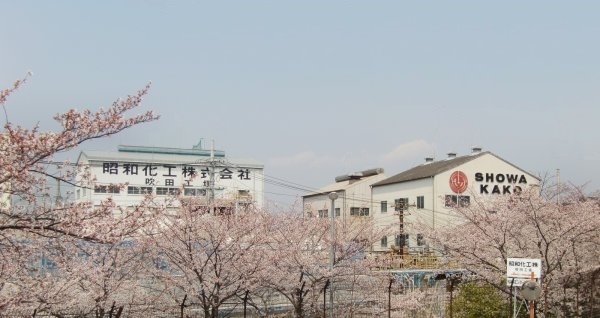 external appearance(spring)